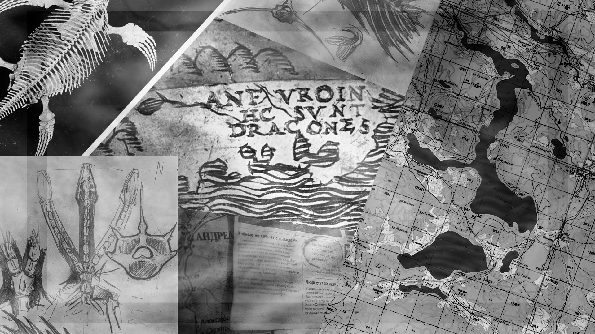 Архивная подборка: гравюры, карты, газетные вырезки и надпись Hic Svnt Dracones